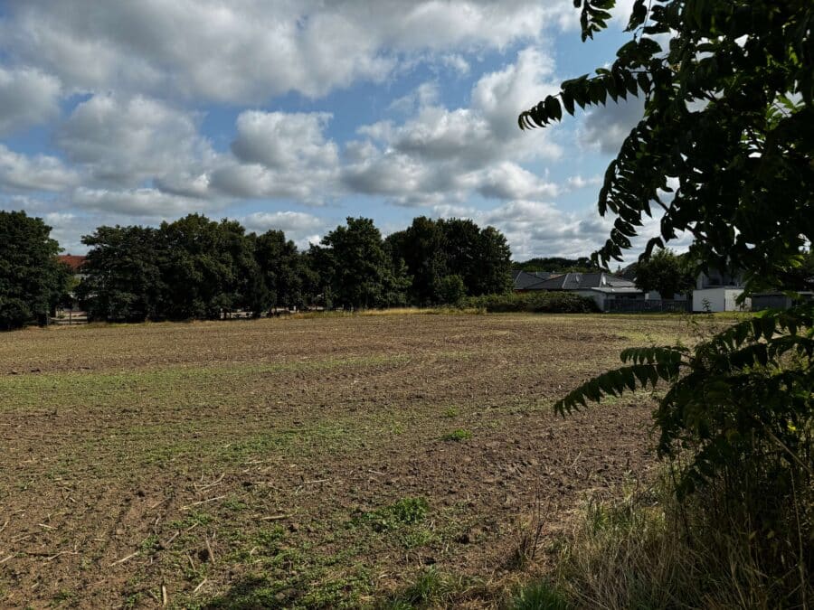 Top-Entwicklungsgrundstück in zentraler Lage von Nauen! - Angrenzende Freifläche