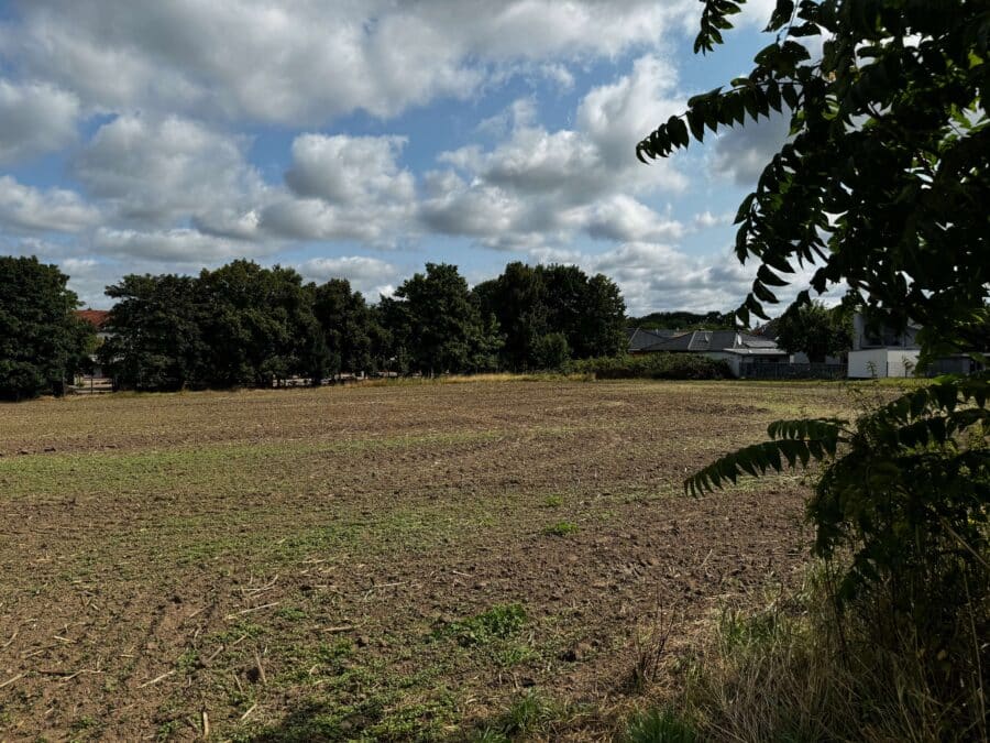 Top-Entwicklungsgrundstück in zentraler Lage von Nauen! - Angrenzende Freifläche